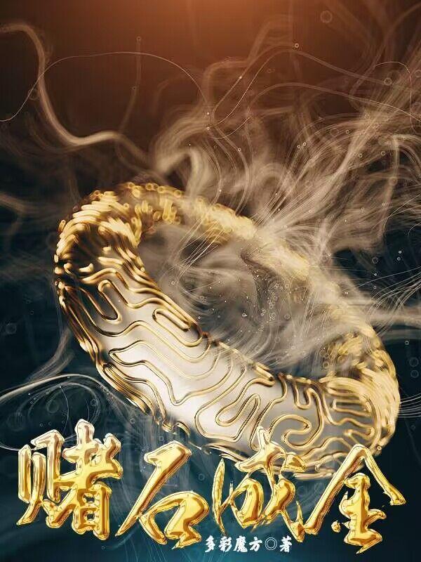 赌石赌成功了卖给谁