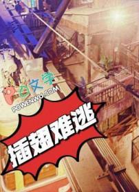 插翅难逃全集29集免费观看
