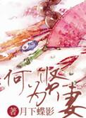 何为贤妻月下蝶影