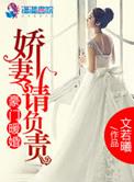 豪门暖婚之娇妻请负责 作者文若曦