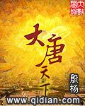 大唐天下判决结果