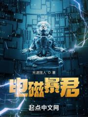 电磁暴君境界等级