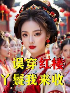 穿越红楼的丫鬟