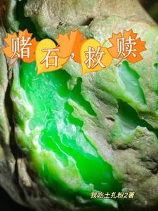 毛料是什么东西