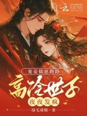 宠妾无度腹黑世子妃