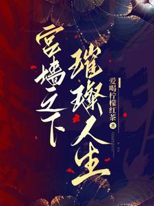 宫墙之内8个故事独占