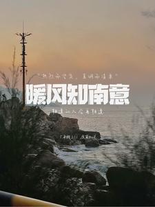 南风暖暖讲的是什么