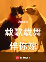 载歌载舞音调