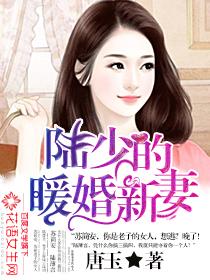 陆少的暖婚新妻短剧免费播放