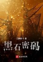 黑石密码TXT奇书网