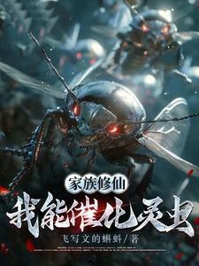 布衣枭雄苏祈安