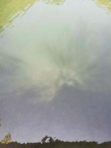 与尘埃落定相似的电视