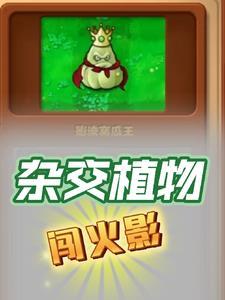生祭是什么