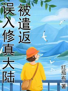 海男之家女人的衣柜免费
