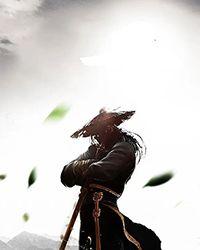 魂帝武神简介