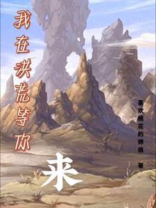 转来是什么意思