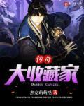 套路先生请指示 电视剧免费观看